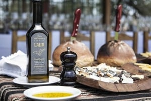 Tour privato di Mendoza: 3 cantine con pranzo in coppia