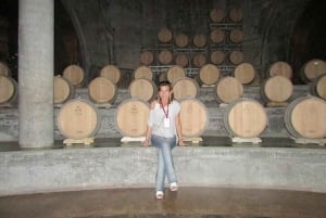 Charms of Mendoza Private Tour 3 Wineries with Paired Lunch (en anglais)