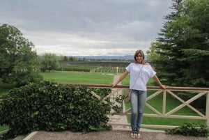 Charms of Mendoza Private Tour 3 Wineries with Paired Lunch