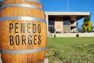 Charms of Mendoza Private Tour 3 Wineries with Paired Lunch