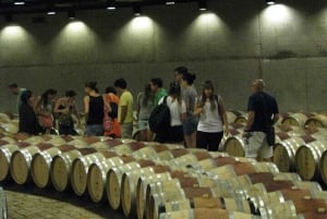 Charms of Mendoza Private Tour 3 Wineries with Paired Lunch (en anglais)