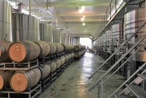 Encantos de Mendoza Tour Privado 3 Bodegas con Almuerzo Maridado