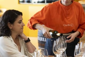 City tour e prova de vinhos