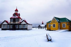 Kaupunkikierros ja viininmaistelu