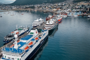 STADSVANDRING I USHUAIA + BESÖK I MARTIAL GLACIER RESERVE