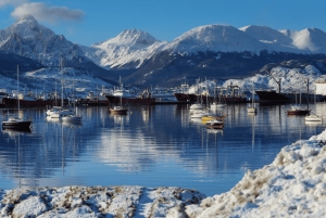 STADSVANDRING I USHUAIA + BESÖK I MARTIAL GLACIER RESERVE