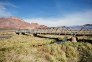 Tour di un giorno sull'Aconcagua classico