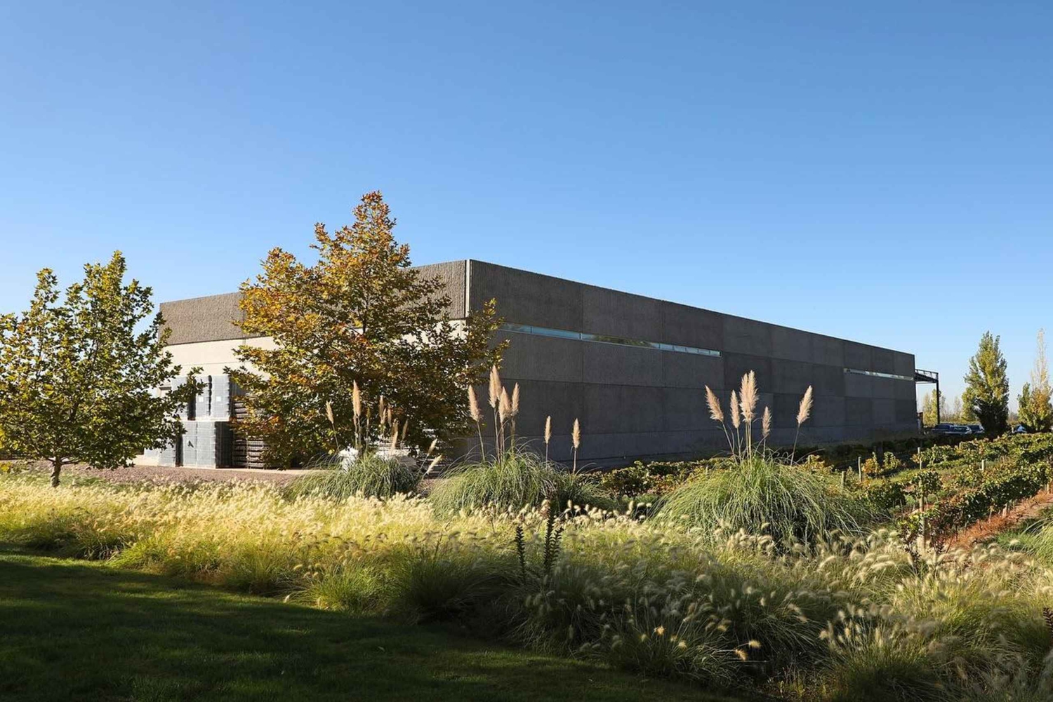 Classic Wine Tour on a Budget. Lunch. Private Driver