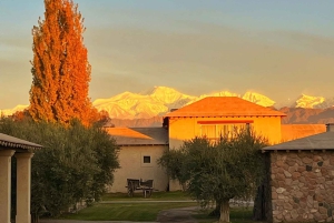 Classic Wine Tour on a Budget. Lunch. Private Driver