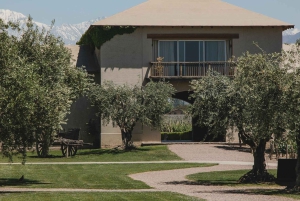 Classic Wine Tour on a Budget. Lunch. Private Driver