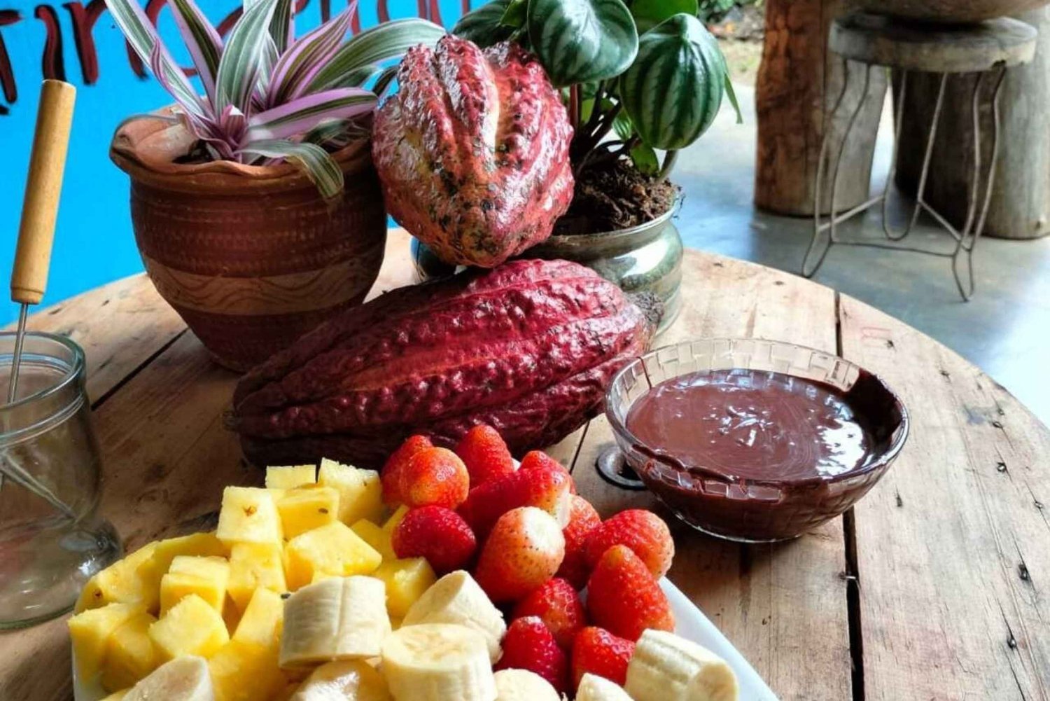 Visite du cacao - San Rafael Antioquia depuis Medellín