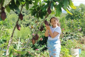 Visite du cacao - San Rafael Antioquia depuis Medellín