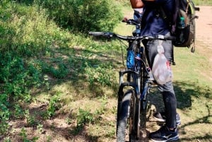 Colonia del Sacramento: visita turistica guidata in bicicletta