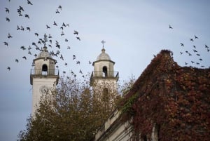 Colonia: Private Tour zu Fuß durch die Stadt (Historischer Bezirk)