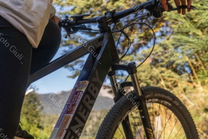 Combo Bike MTB +1 de Kayak /SUP en Circuito Chico