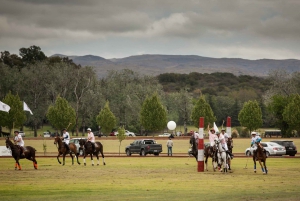 Dia do Polo - churrasco e experiência com vinho no Pompeya Polo - Ascochinga-Córdoba