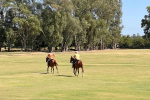 Dzień polo - grill i wino w Pompeya Polo - Ascochinga-Kordoba