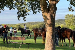 Dzień polo - grill i wino w Pompeya Polo - Ascochinga-Kordoba