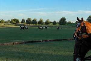 Dzień polo - grill i wino w Pompeya Polo - Ascochinga-Kordoba