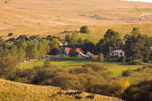 Cordoba: Estancia Los Potreros Horseback Riding Tour
