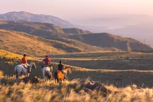Cordoba: Estancia Los Potreros Horseback Riding Tour