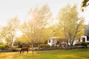 Cordoba: Estancia Los Potreros Horseback Riding Tour