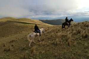 Córdoba: Horseback Riding with BBQ Lunch