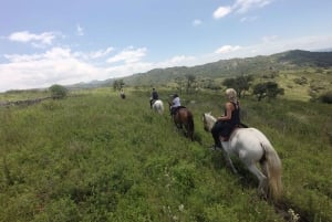 Córdoba: Horseback Riding with BBQ Lunch