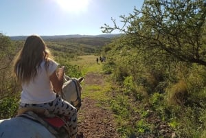 Córdoba: Horseback Riding with BBQ Lunch