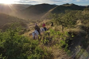 Córdoba: Horseback Riding with BBQ Lunch