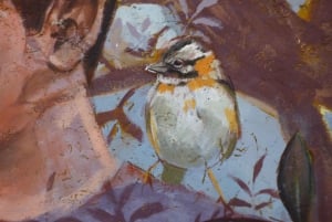 Guided Hike in the Cordoban Hills - Nature and waterfalls