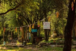 Guided Hike in the Cordoban Hills - Nature and waterfalls