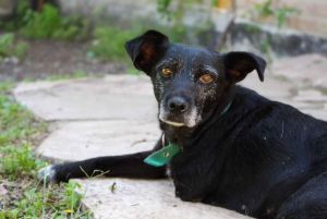 Guided Hike in the Cordoban Hills - Nature and waterfalls