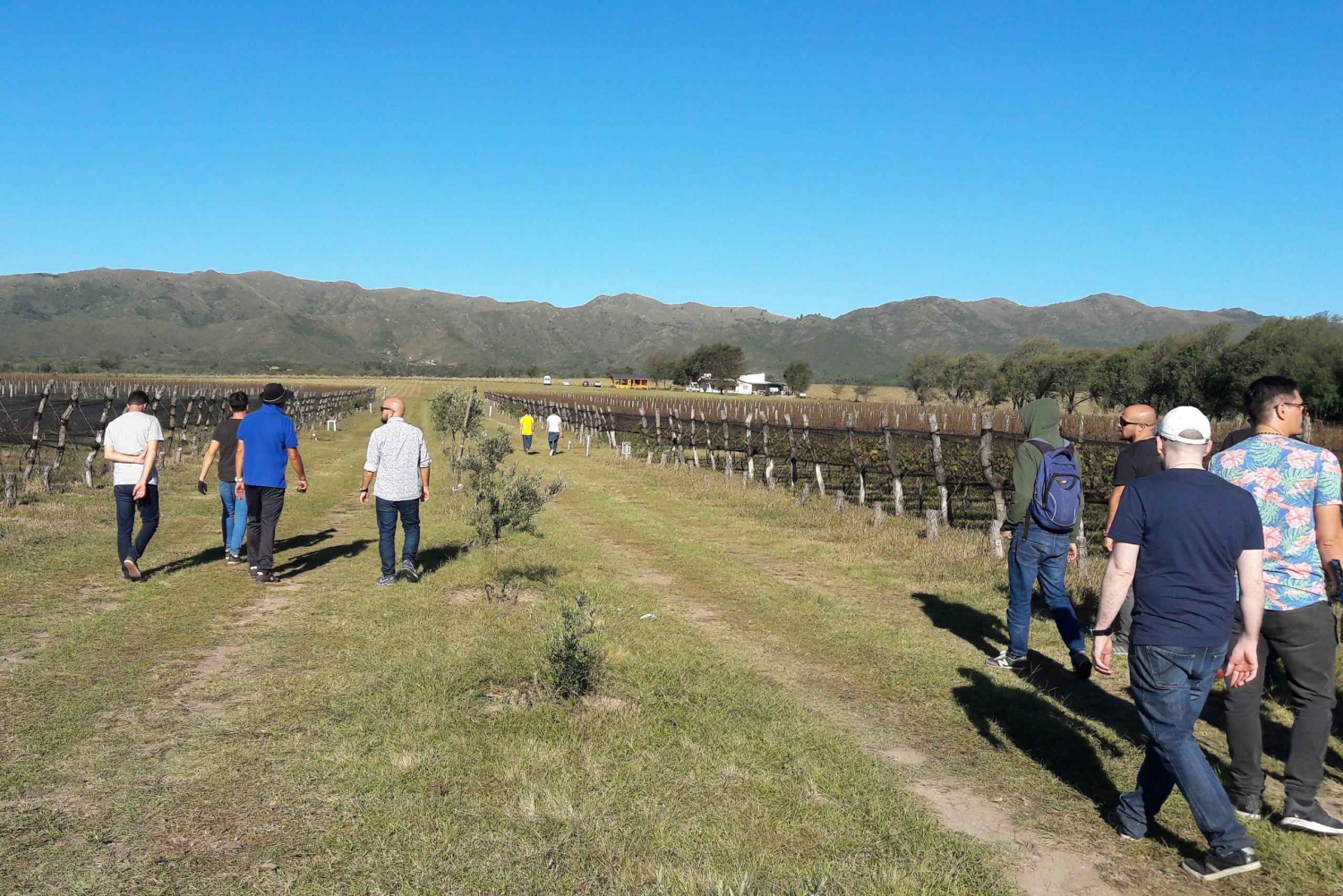 Kordoba: Wine Tour Privado a Calamuchita - Argentyna