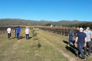 Córdoba: Tour Privado de Vinhos a Calamuchita - Argentina