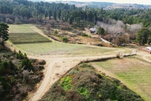 Córdoba: Tour del vino privato a Calamuchita - Argentina