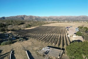 Córdoba: Tour del vino privato a Calamuchita - Argentina