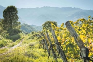 Córdoba: Wein Tour Privado a Calamuchita - Argentinien