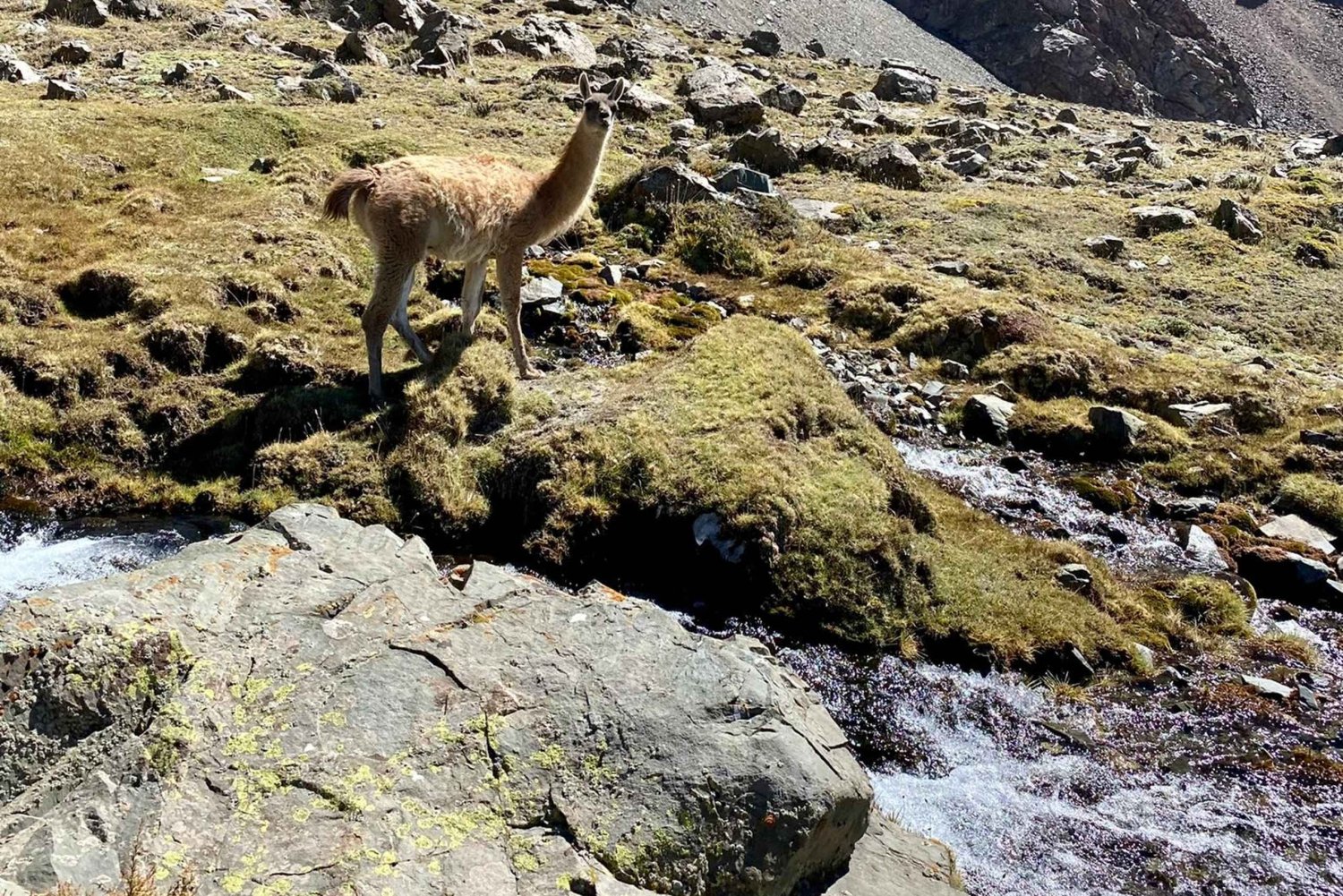 Cordon del Plata: Trekking to Cerro Lomas Blancas 3600 meters above sea level