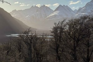 Ruta de la Centolla y Sabores del Mar – Tour a Puerto Almanza