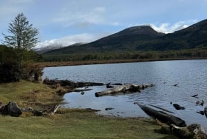 Ruta de la Centolla y Sabores del Mar – Tour a Puerto Almanza