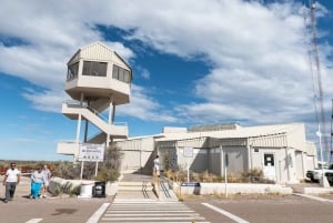 Круизная береговая экскурсия Полуостров Вальдес - Бокс-ланч включен