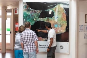 Crociera Escursione a terra Penisola Valdes (pranzo e biglietti)