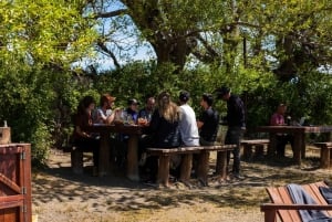 DARWIN EXPERIENCE KAJAKK & EVENTYR