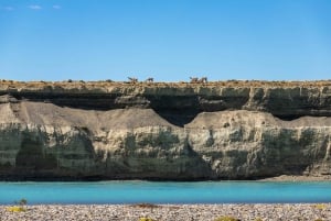 DARWIN EXPERIENCE KAJAKK & EVENTYR