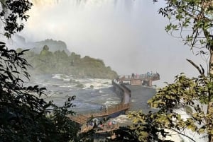 Tour privato di un giorno Brasile e Argentina Cascate di Iguassu