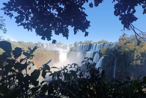 PRIVATE TOUR: Brasilianische und argentinische Seite an 1 Tag + Bootstour-Option