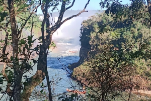 PRIVATE TOUR: Brasilianische und argentinische Seite an 1 Tag + Bootstour-Option