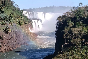 PRIVATE TOUR: Brasilianische und argentinische Seite an 1 Tag + Bootstour-Option
