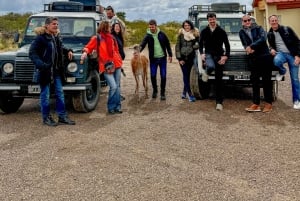 Day trip in an all-terrain vehicle: 4x4 adventure + lunch at a Patagonian ranch
